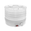 Desidratador de Alimentos 245 W